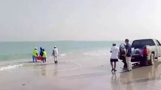 博天堂·918-官方网站|真人游戏品牌