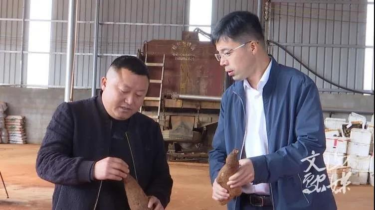 博天堂·918-官方网站|真人游戏品牌