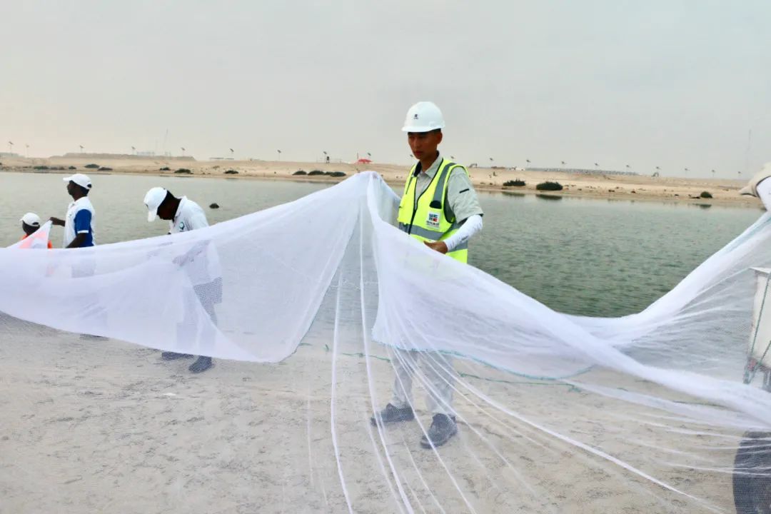 博天堂·918-官方网站|真人游戏品牌