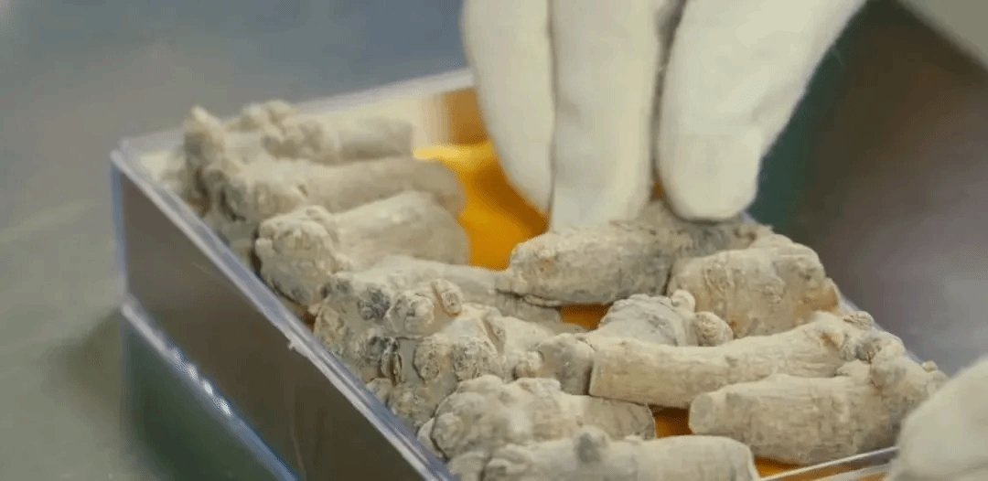 博天堂·918-官方网站|真人游戏品牌