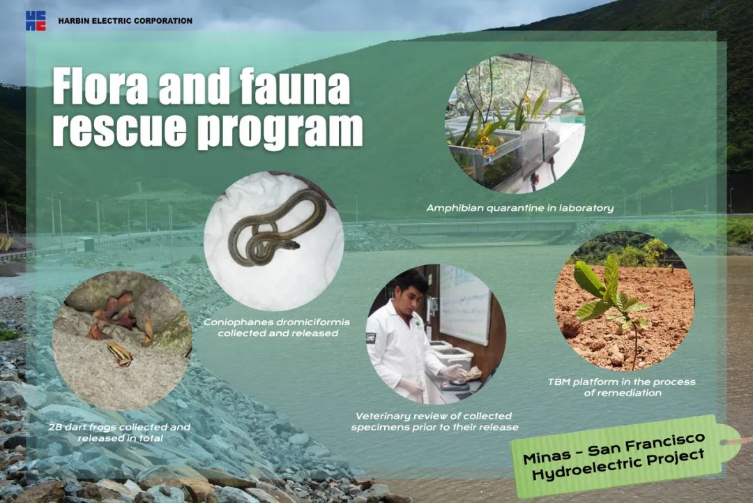 博天堂·918-官方网站|真人游戏品牌