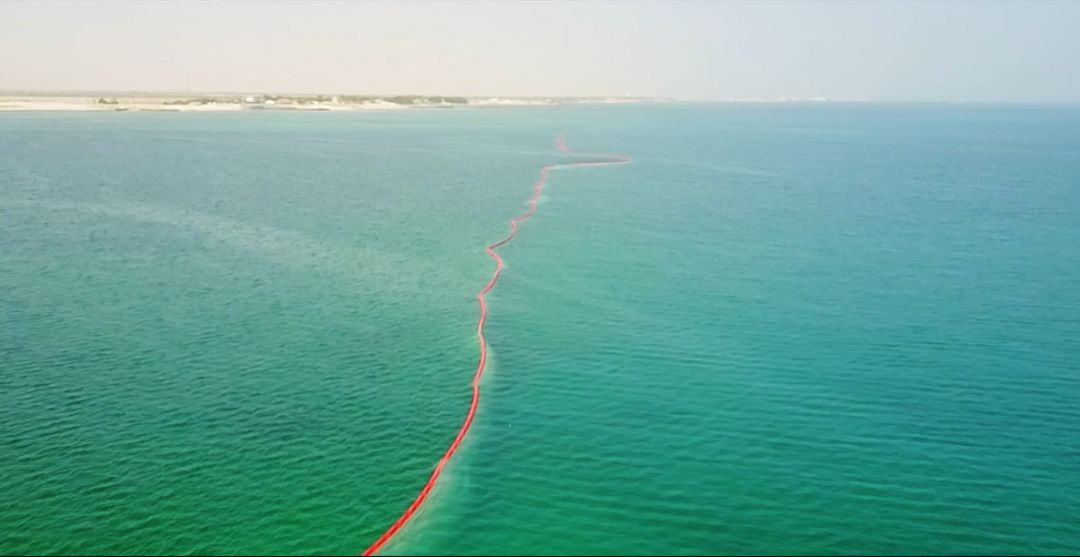 博天堂·918-官方网站|真人游戏品牌