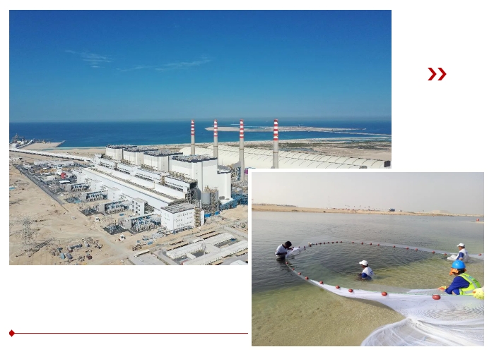 博天堂·918-官方网站|真人游戏品牌