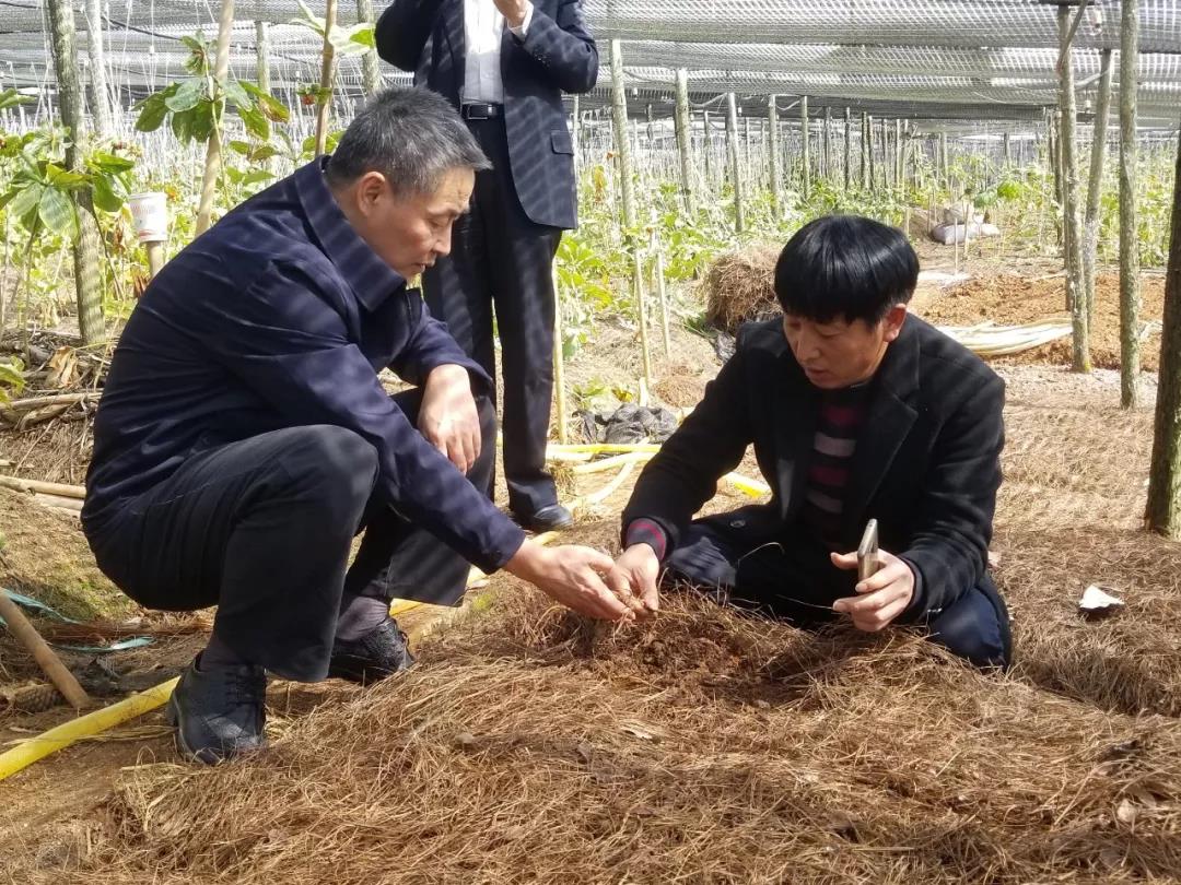 博天堂·918-官方网站|真人游戏品牌