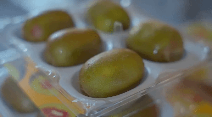 博天堂·918-官方网站|真人游戏品牌