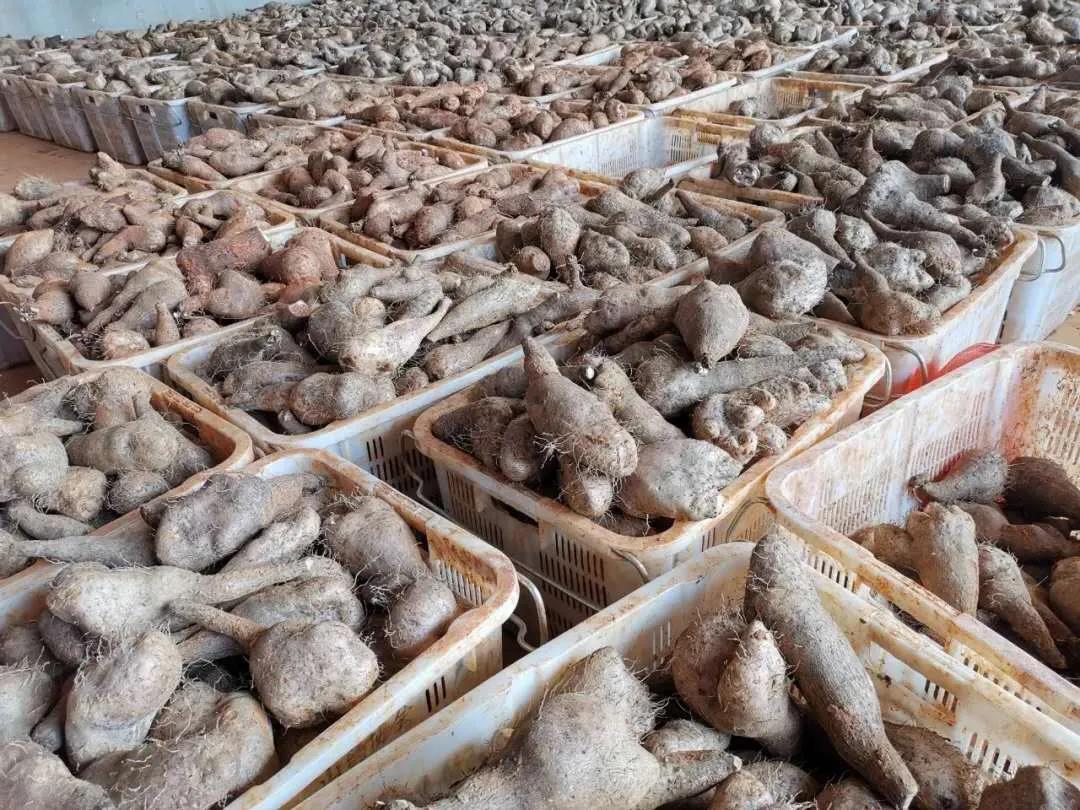 博天堂·918-官方网站|真人游戏品牌