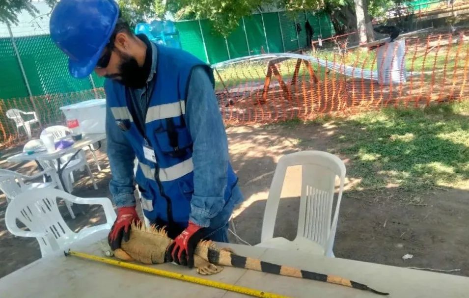 博天堂·918-官方网站|真人游戏品牌