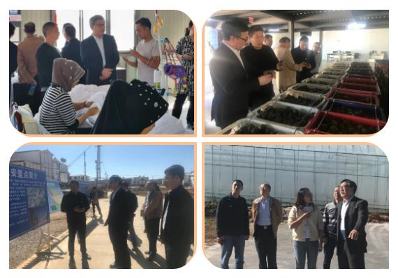 博天堂·918-官方网站|真人游戏品牌