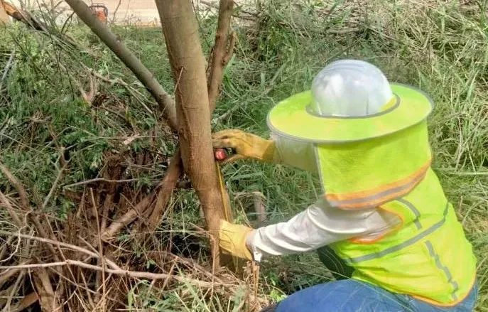 博天堂·918-官方网站|真人游戏品牌