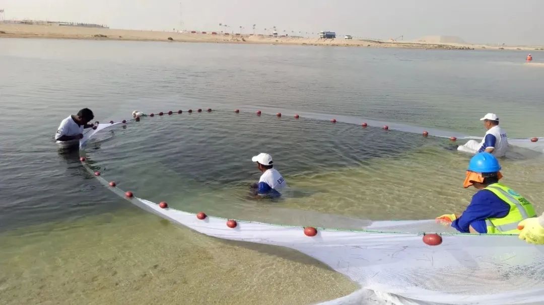 博天堂·918-官方网站|真人游戏品牌