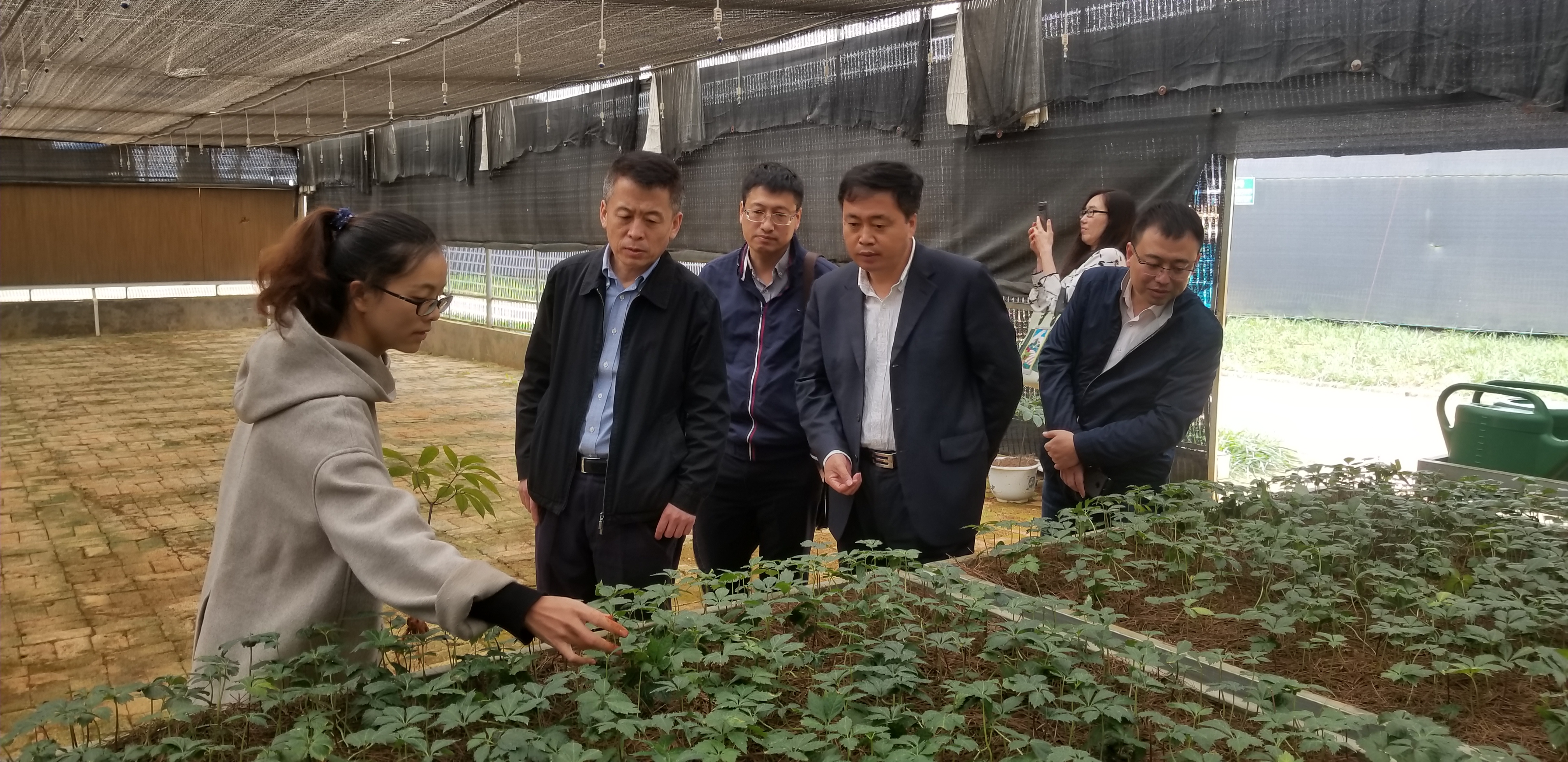 博天堂·918-官方网站|真人游戏品牌