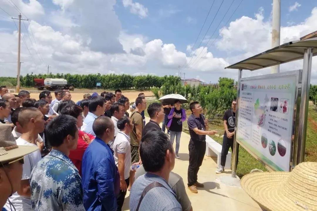 博天堂·918-官方网站|真人游戏品牌