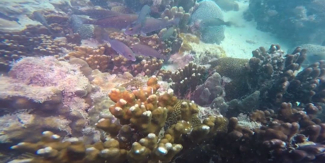 博天堂·918-官方网站|真人游戏品牌