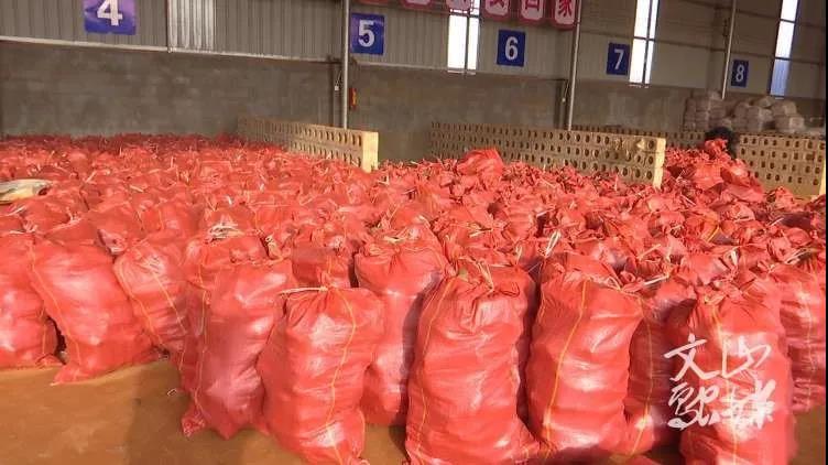 博天堂·918-官方网站|真人游戏品牌