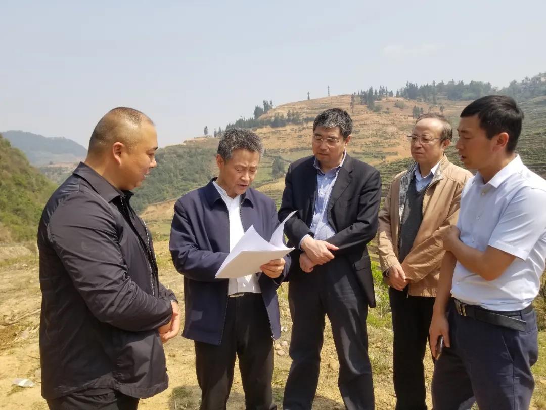 博天堂·918-官方网站|真人游戏品牌