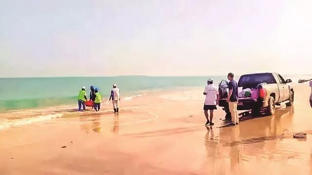 博天堂·918-官方网站|真人游戏品牌