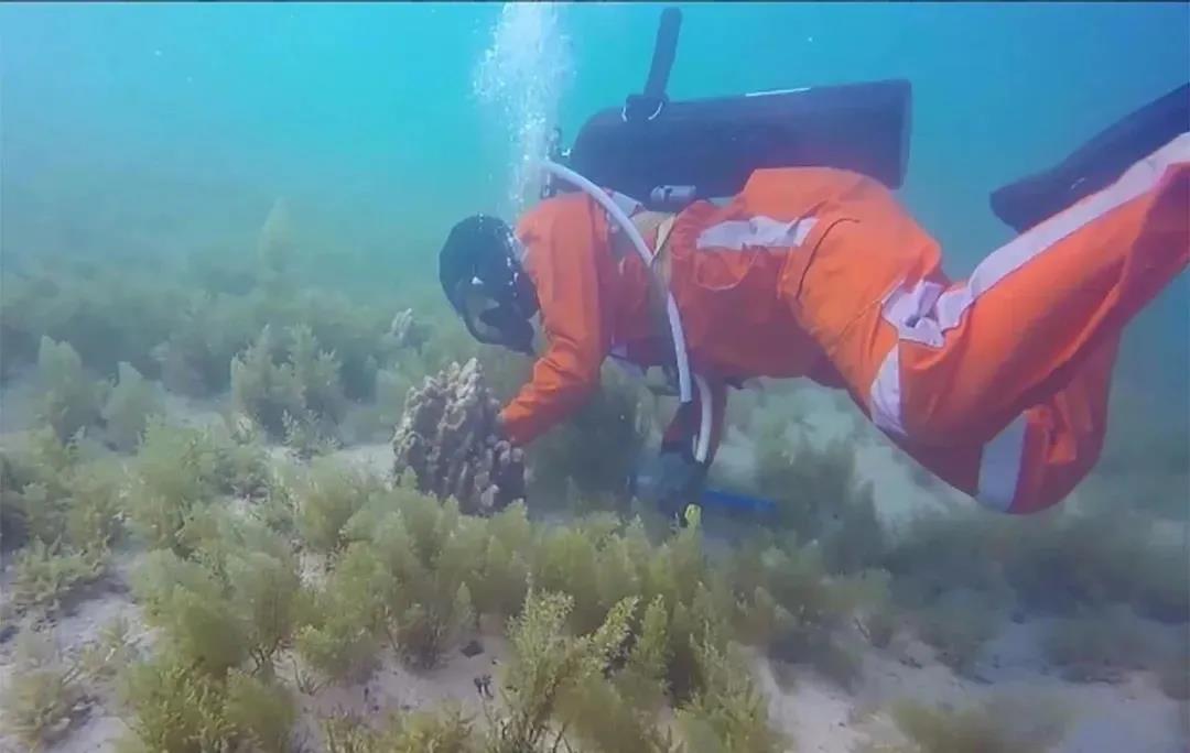 博天堂·918-官方网站|真人游戏品牌